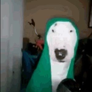 Meet your Posher, Des